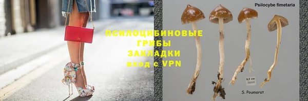 бутират Вяземский