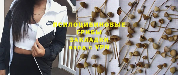 бутират Вяземский
