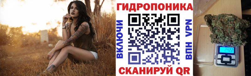 Конопля гибрид  купить закладку  Магнитогорск 
